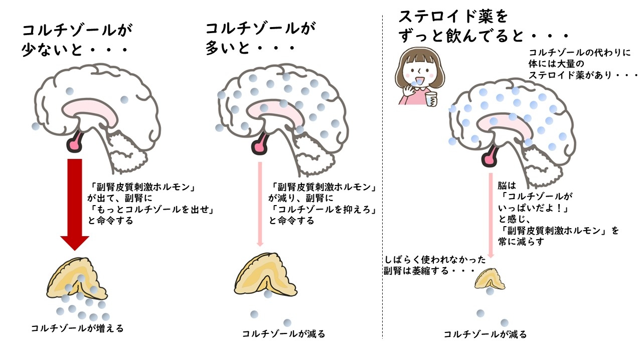 フィードバック