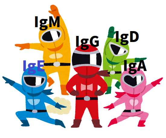 IgE